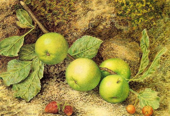 Hill, John William Still Life with Fruit and Fly china oil painting image